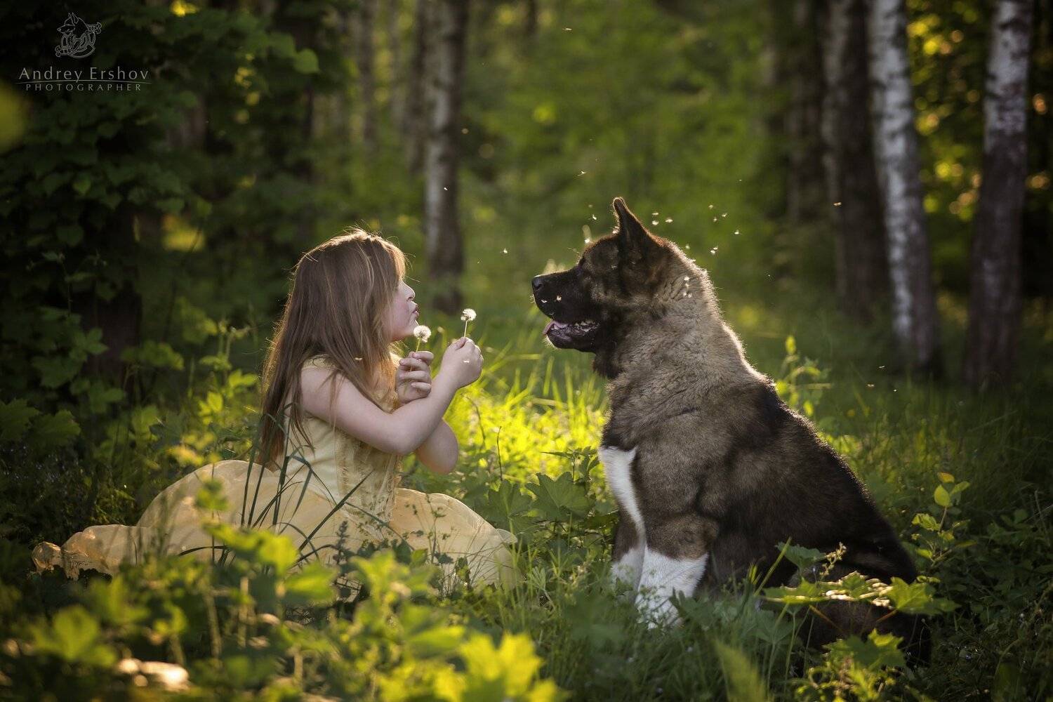 , Андрей Ершов