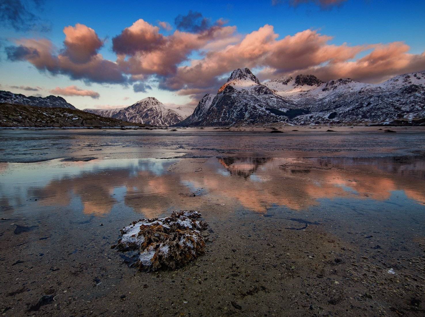 , Тодор Божков