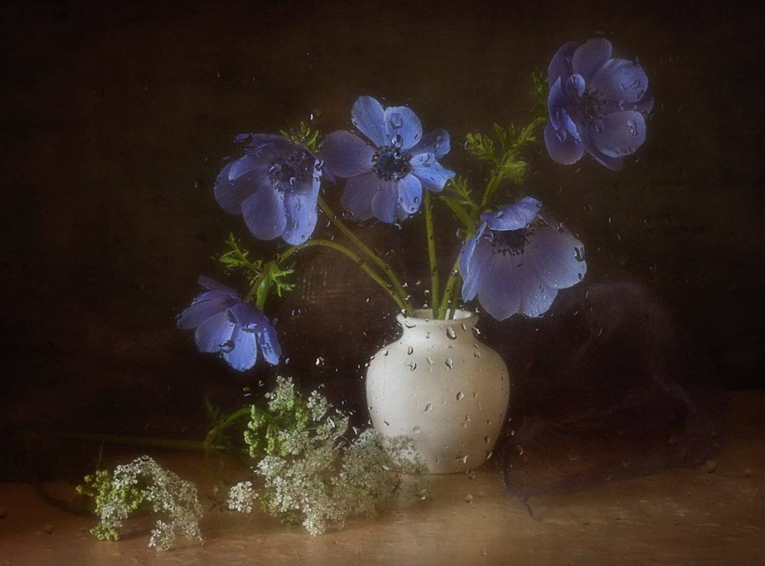 натюрморт,анемоны,капли, Наталия К