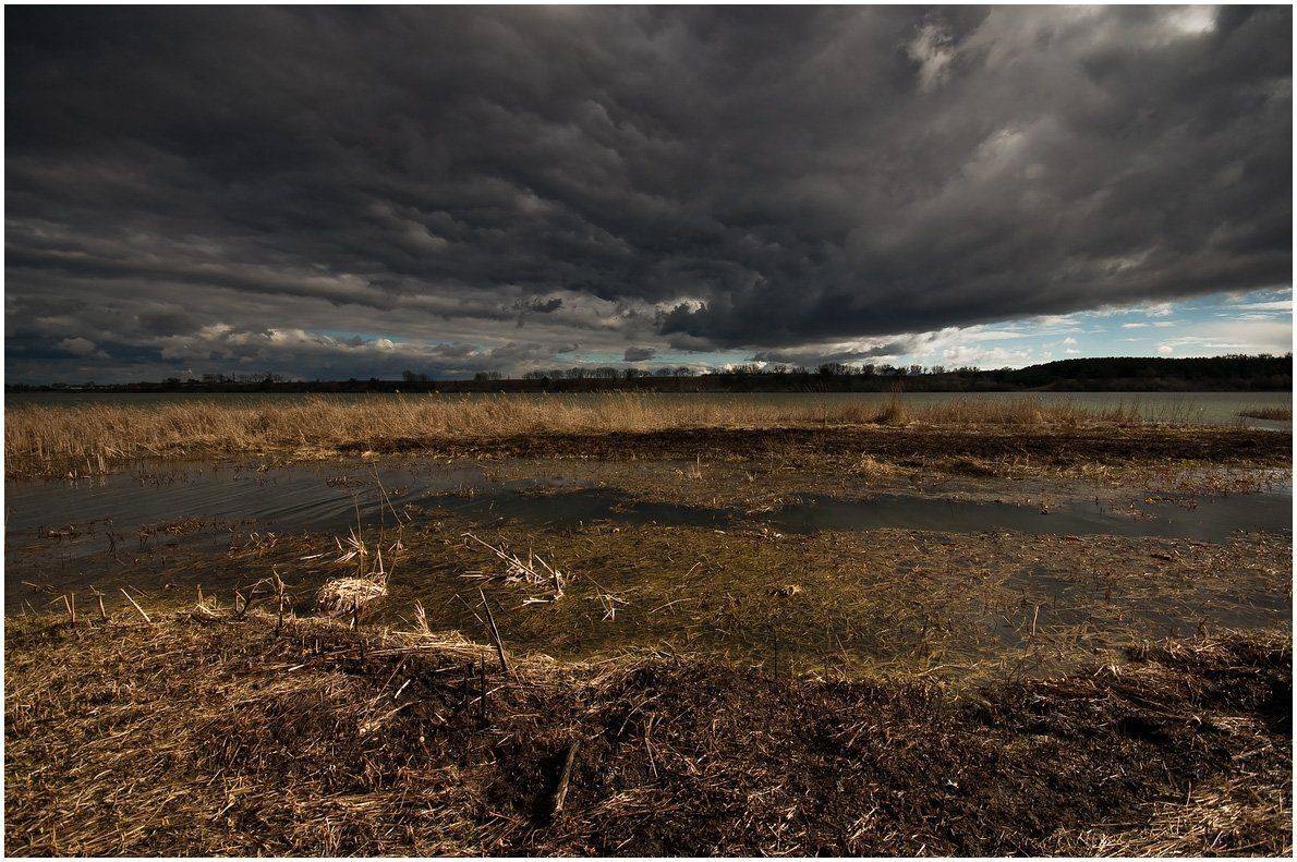 , Николай Шахманцир