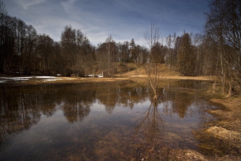 поплыли.... фото превью