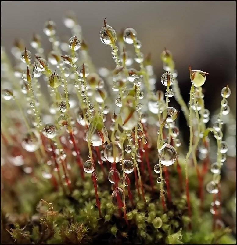 , Андрей Осокин