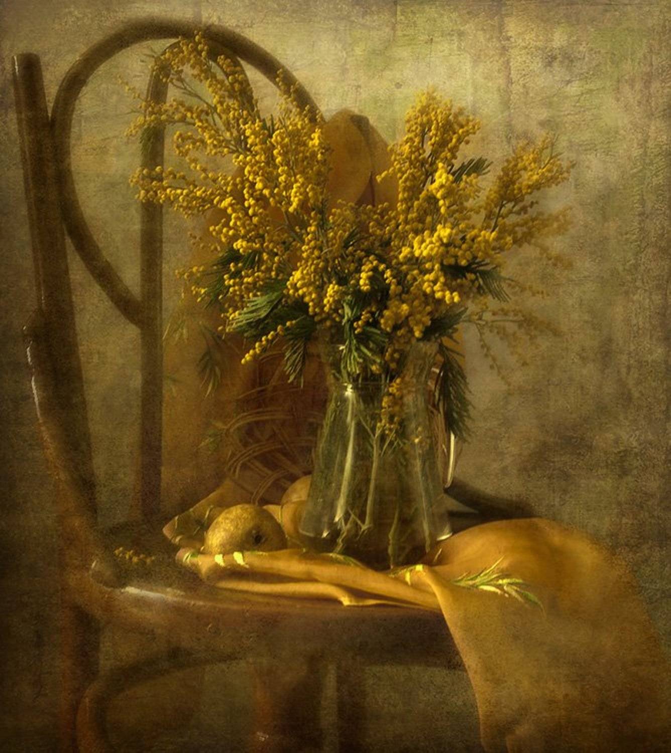 мимоза, весна., Ирина