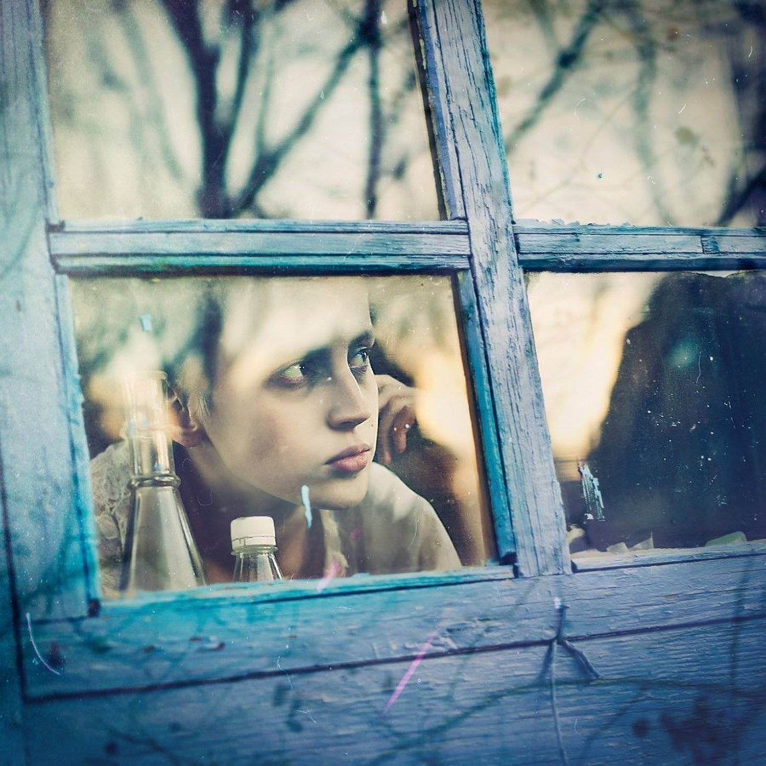 портрет, Софи Черных