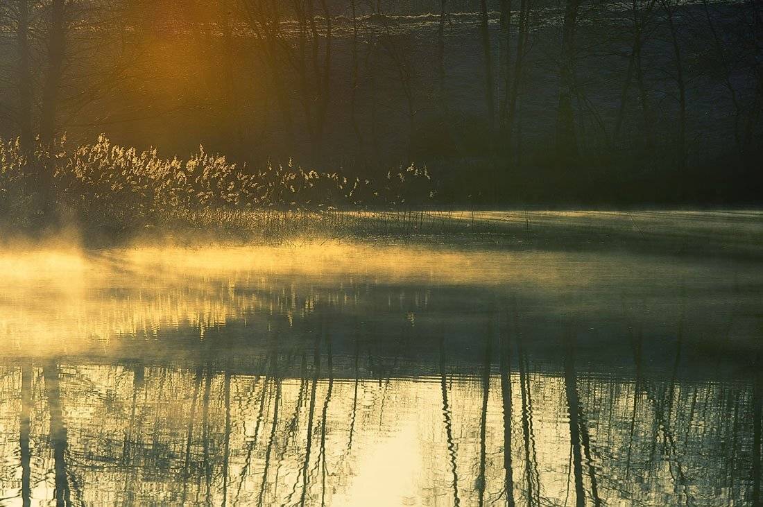 , Rimantas Bikulcius