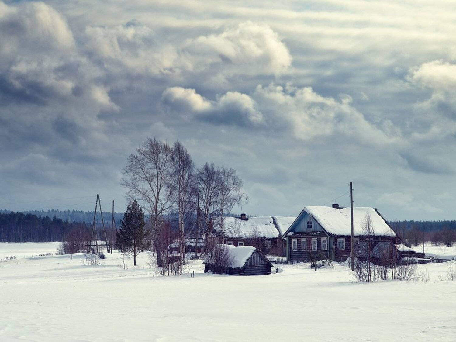, Максим Евдокимов