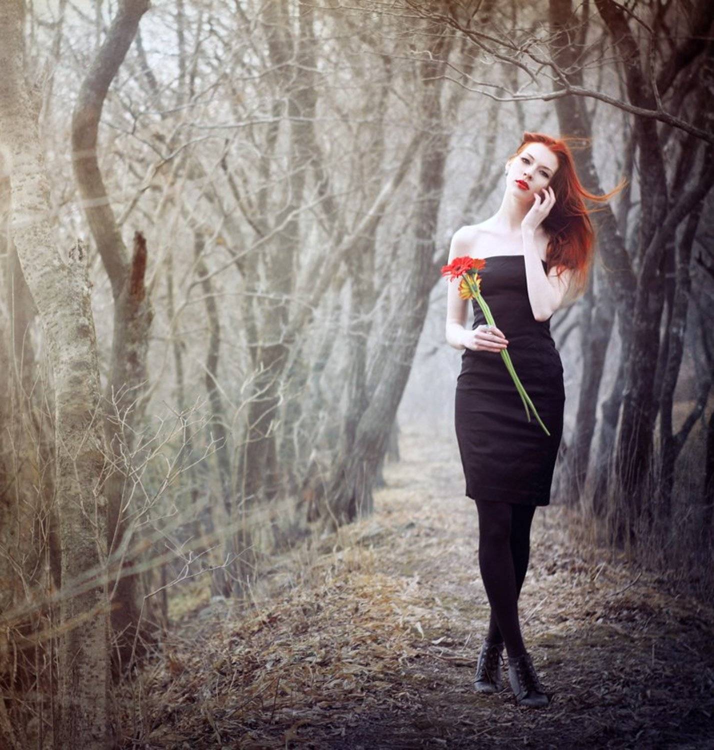 герберы, ветер, весна, volavolko