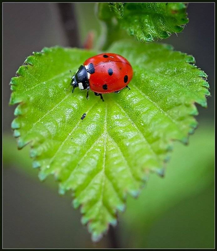 , Евгений Кирилкин.