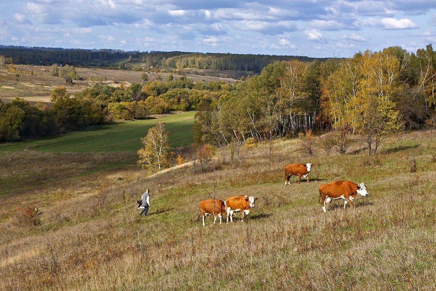 , Юрий Крючков