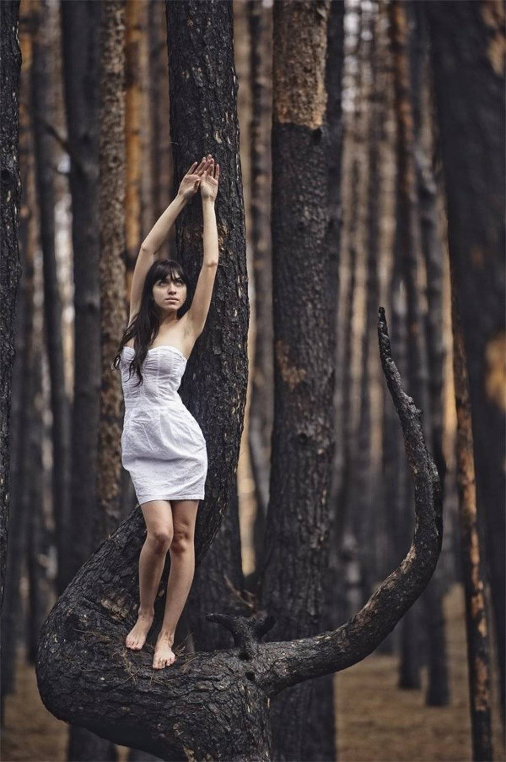 , Владислав