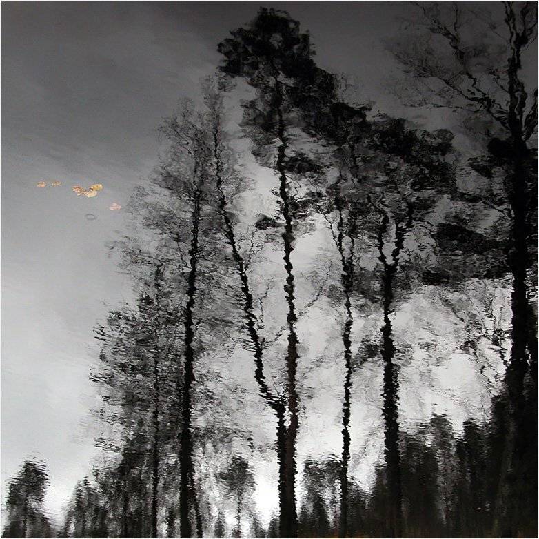 осень, вода, лист, Тарасов Алексей