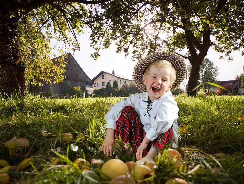 дети, яблоки, осень, природа, солнце Радостная жизнь Моти. фото превью