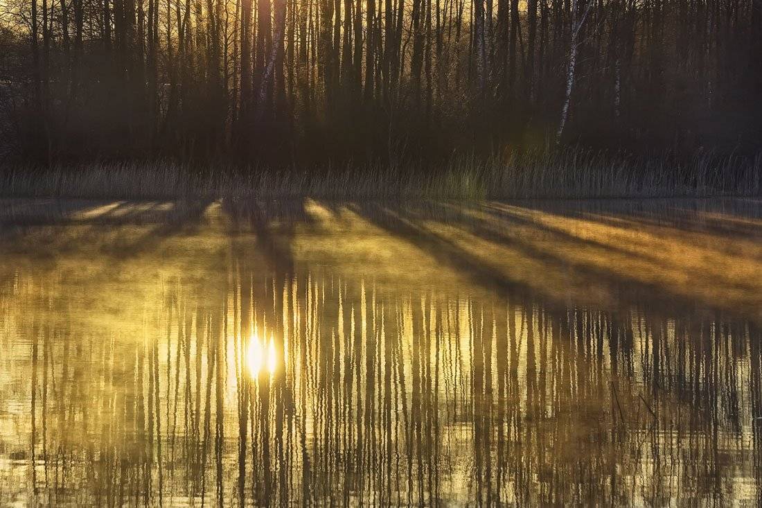 , Rimantas Bikulcius