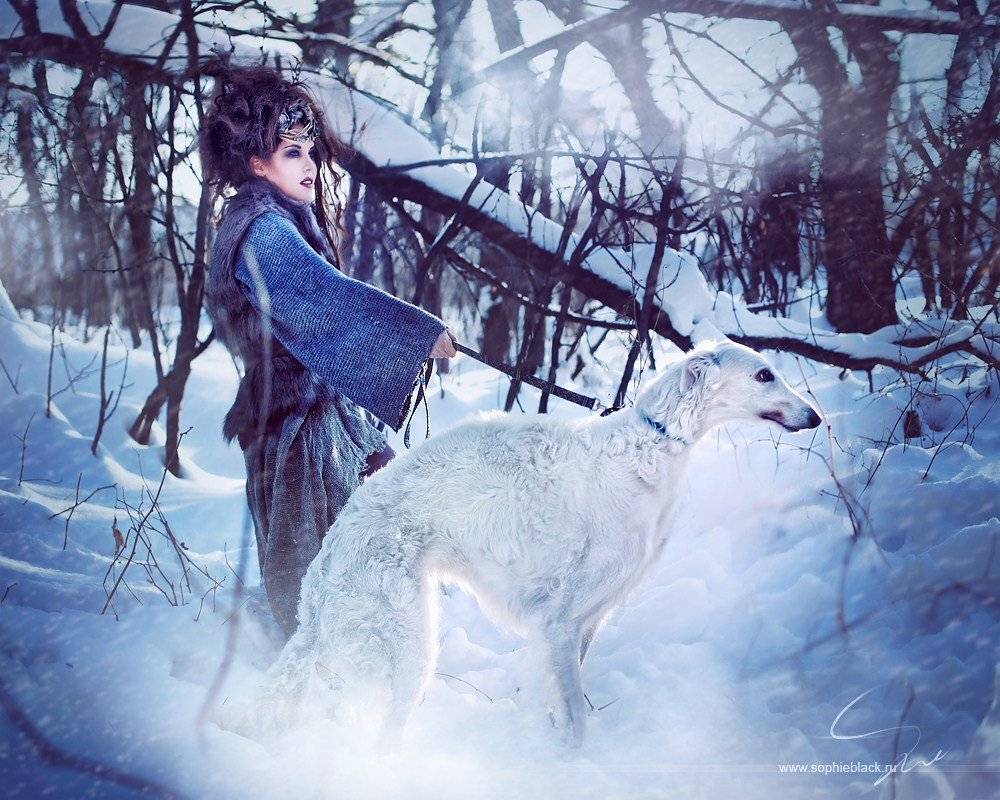 , Софи Черных