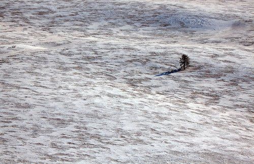 В снежно-пепельной пустыне