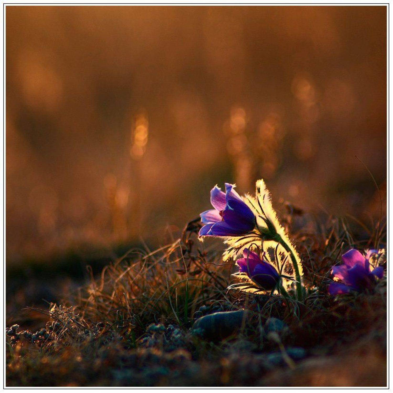 , Олег Клочков