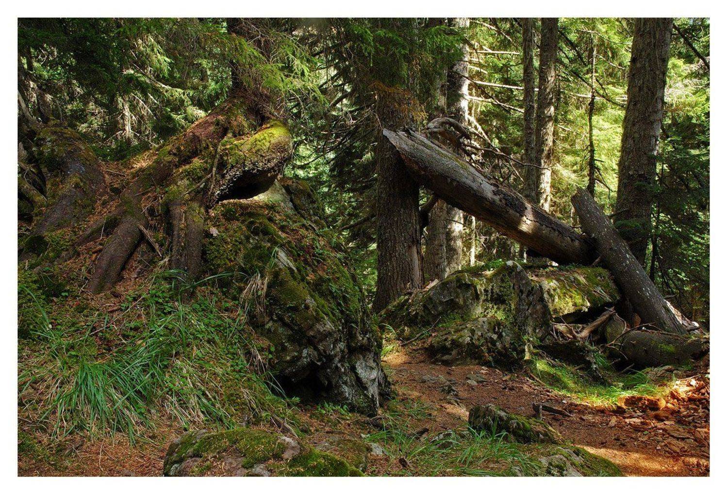 кавказ, домбай, Dmitriy Egorov