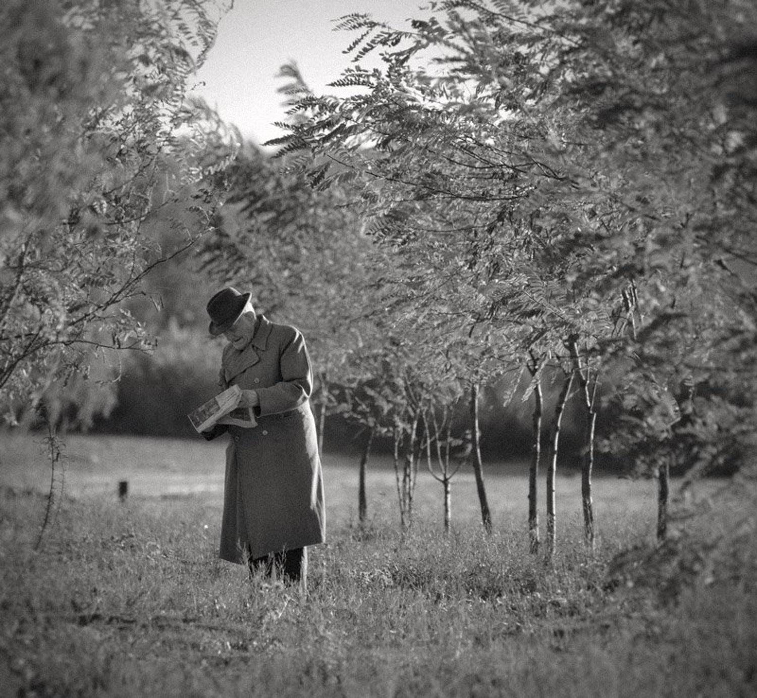 , Андрей Ру...