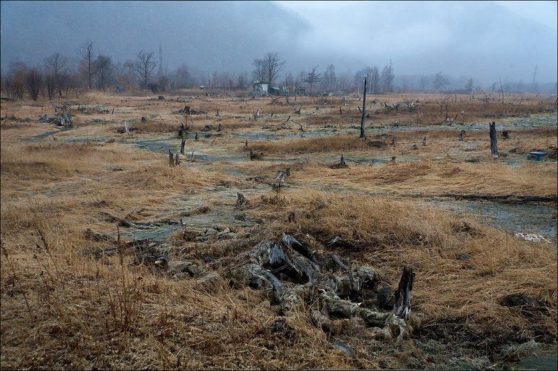 болото Топи Моррии фото превью