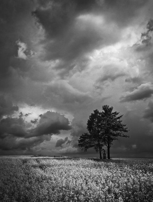 ...and cross between them фото превью