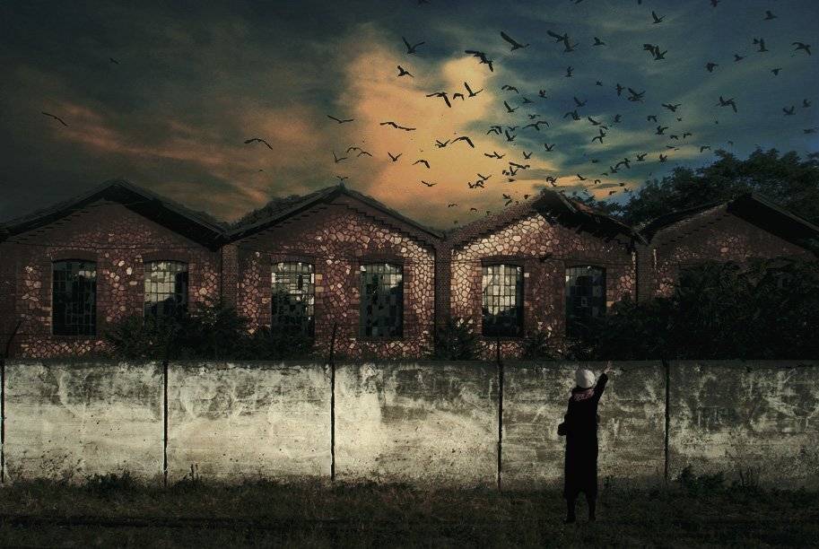 birds, old,, mustafa yagci