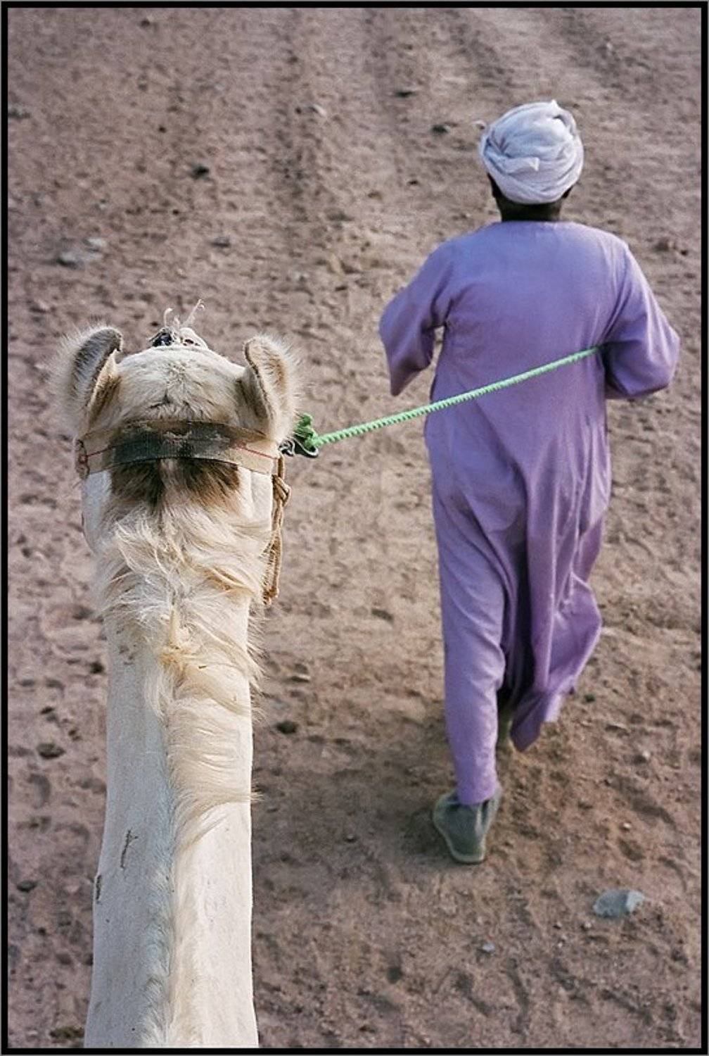 , Лунный Ежик