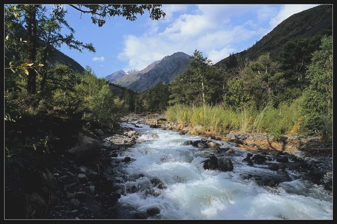 алтай, катунский хр. р.аргут, АНАТОЛИЙ ДОВЫДЕНКО