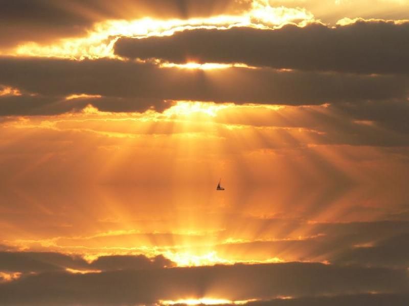 Плавая в лучах солнца.. фото превью