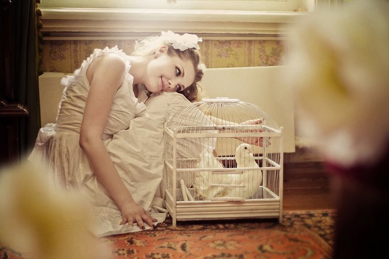 фото превью