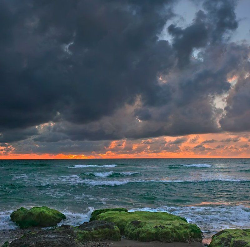 Предсказание... фото превью