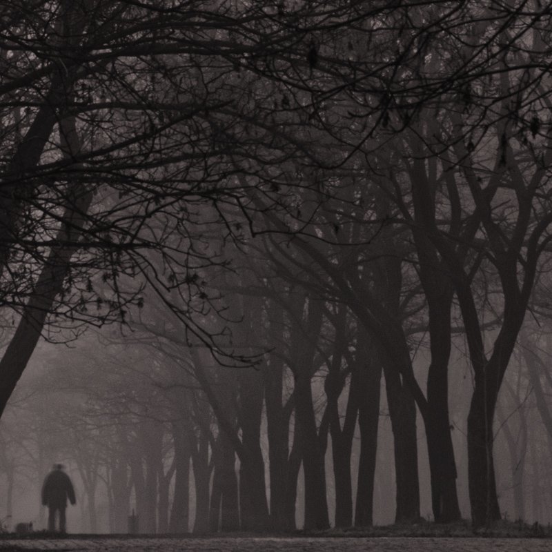 В поисках одиночества фото превью