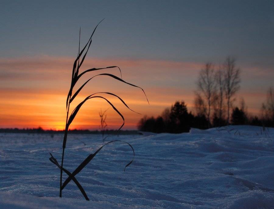 март, снег, закат, Николай Морский
