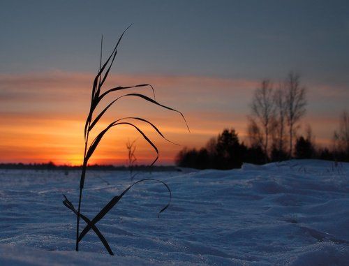 Провожая мартовский денёк