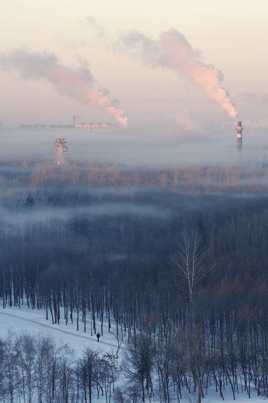 Иногда туман сам приходит к тебе фото превью