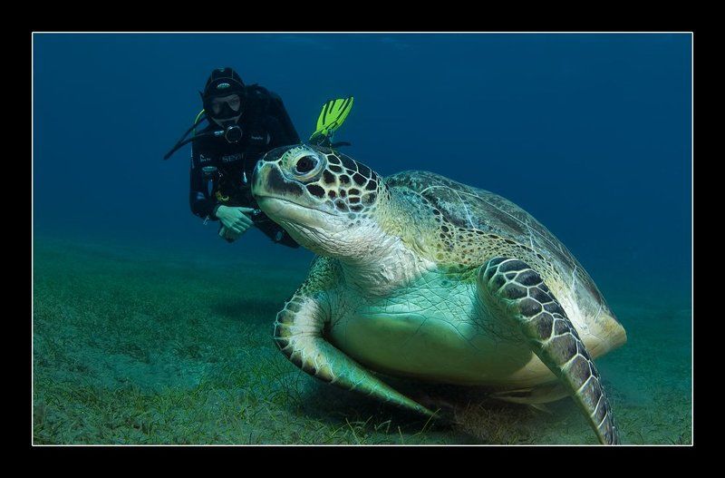 *** фото превью