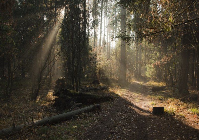 Осенняя прогулка фото превью