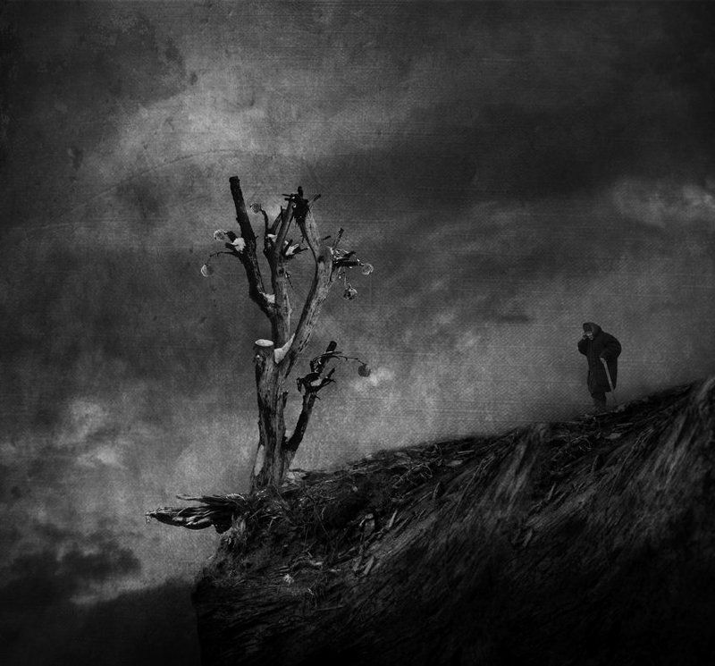 on the edge фото превью