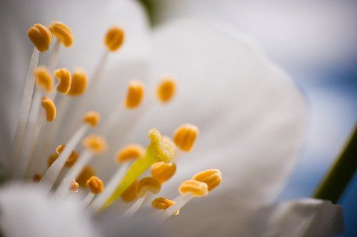 spring is in the air