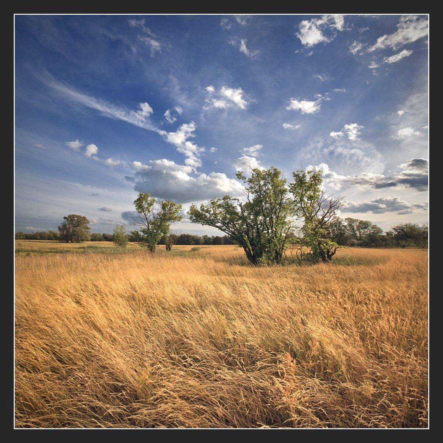 , Алексей Соловей