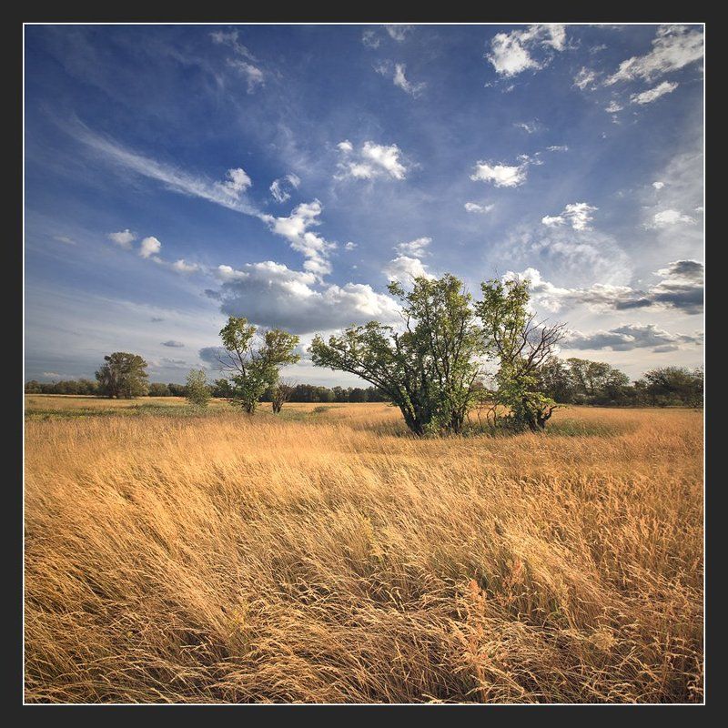 Черторой... Конец июля... Вечер...(цветной вариант) фото превью
