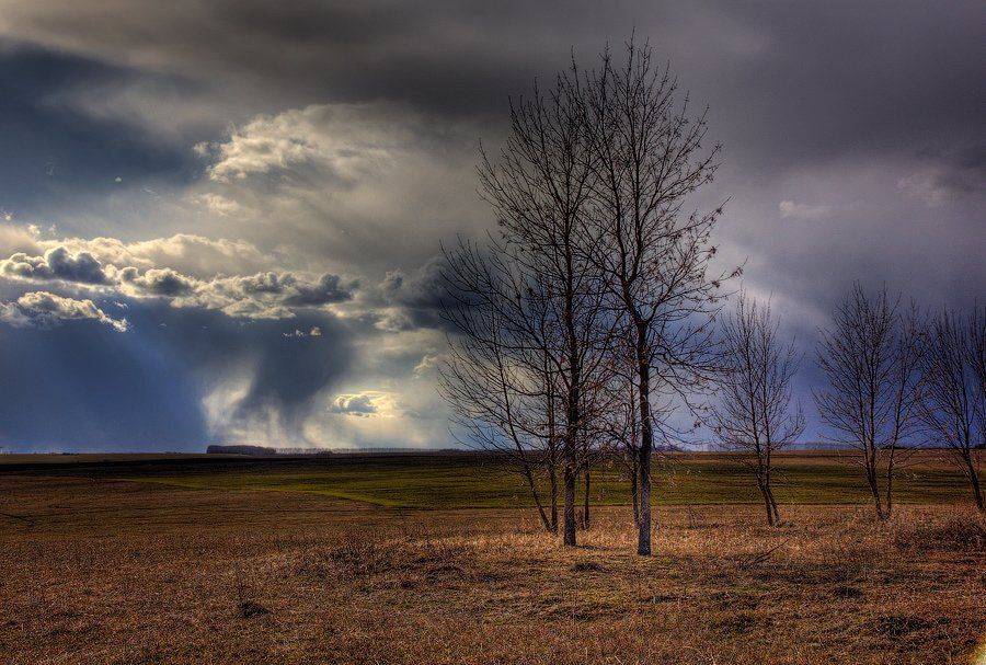 , Владлен Халимов