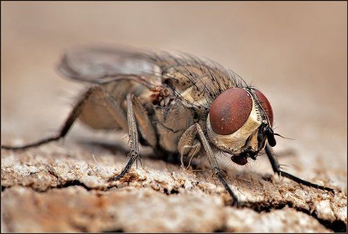 К взлету готова.