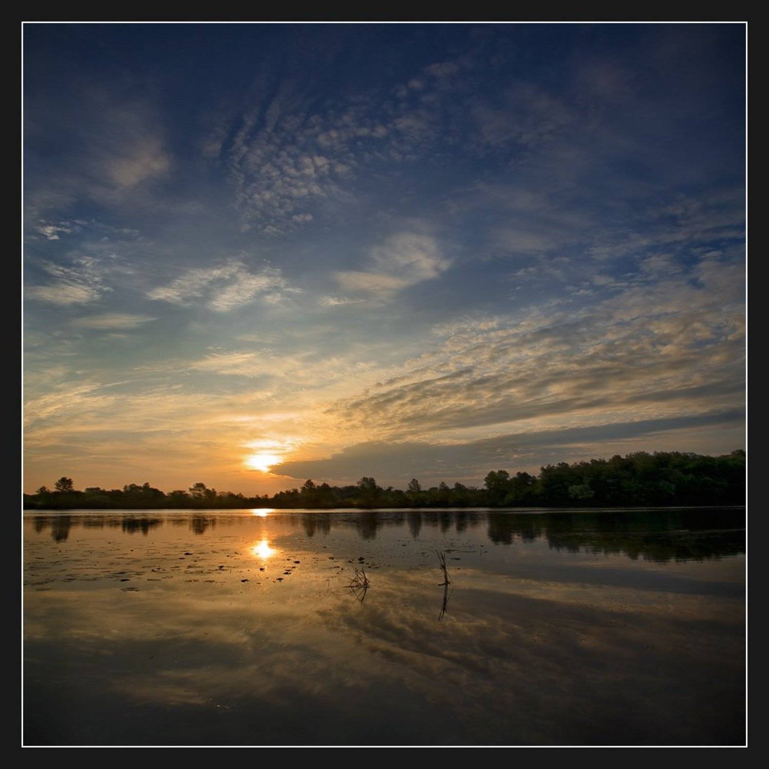 , Алексей Соловей