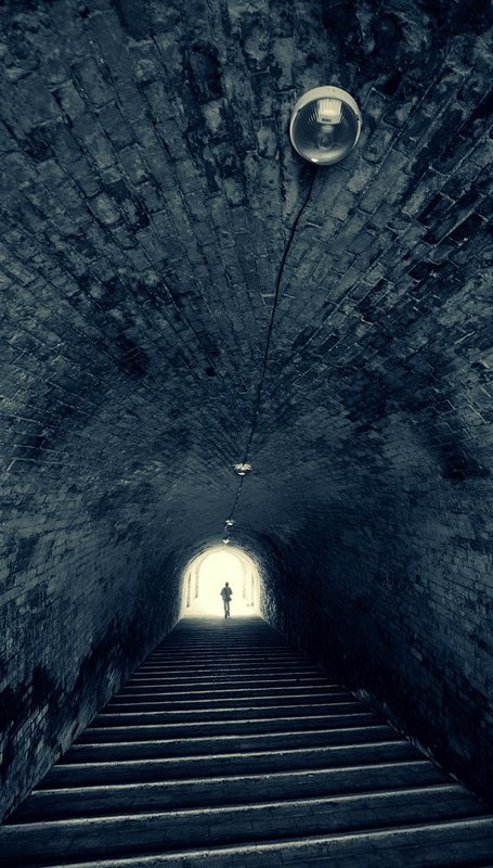 Shoots and Ladders фото превью