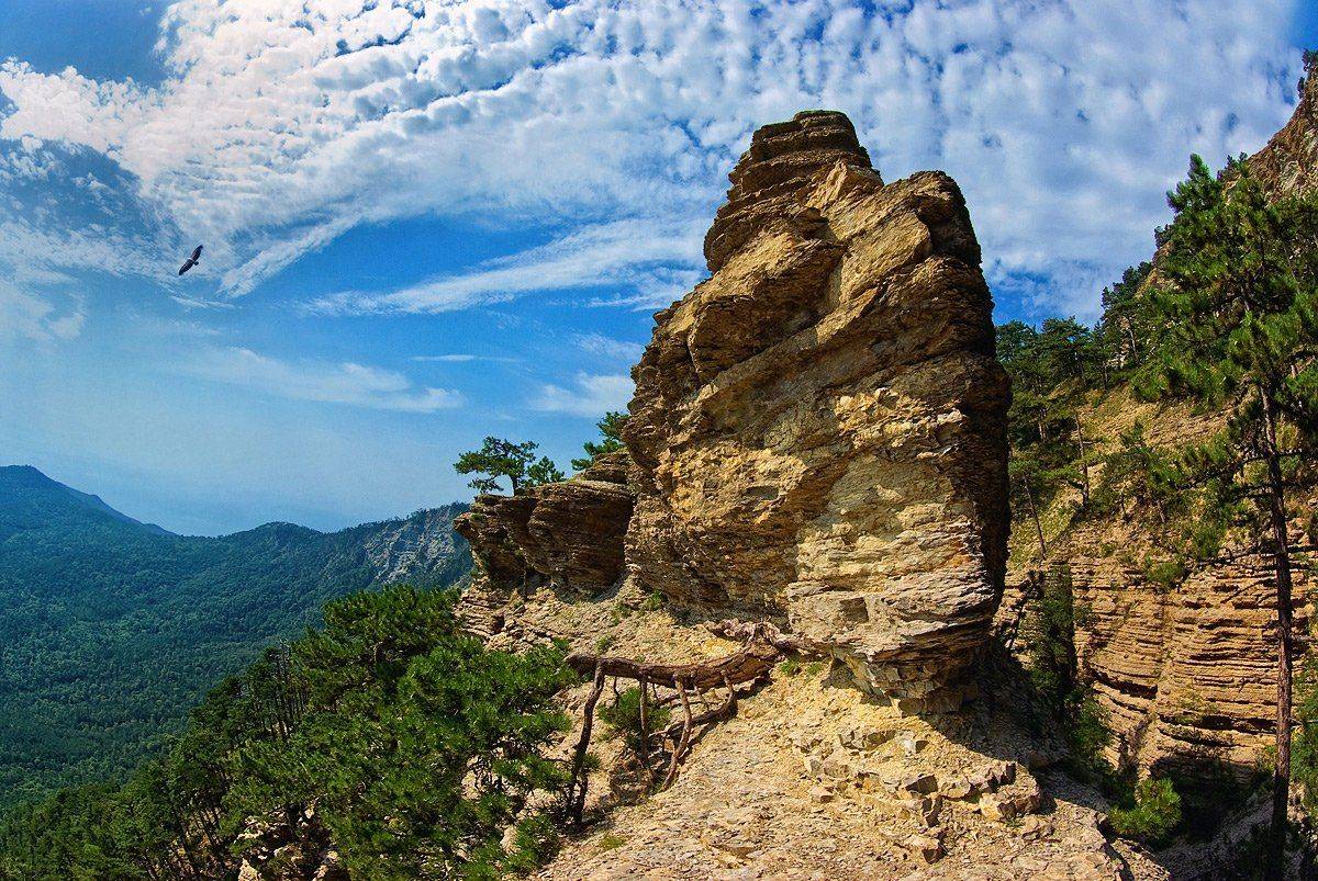 , Игорь Мелекесцев