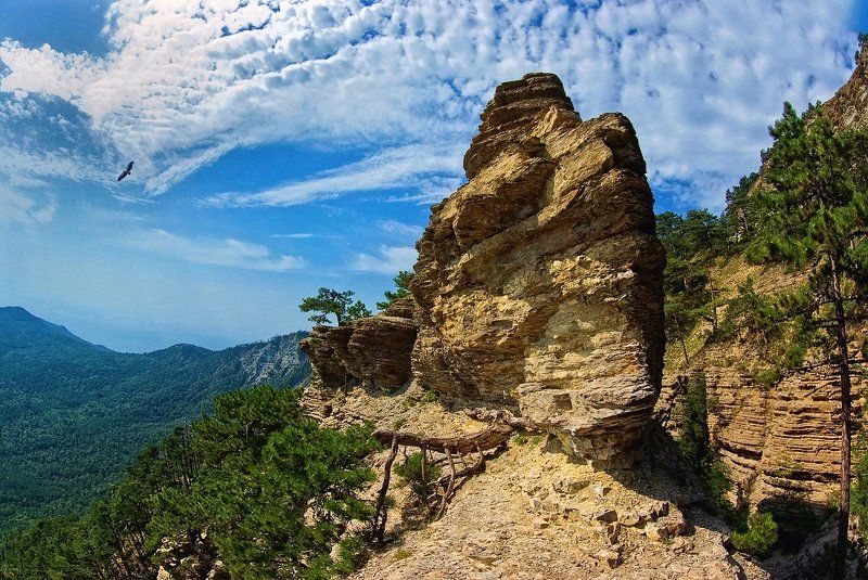 What a wonderful world! фото превью