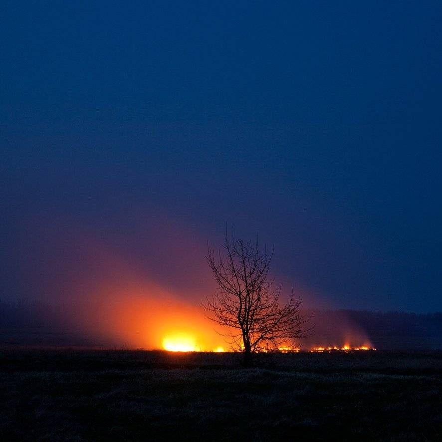 , Юрий Наумович