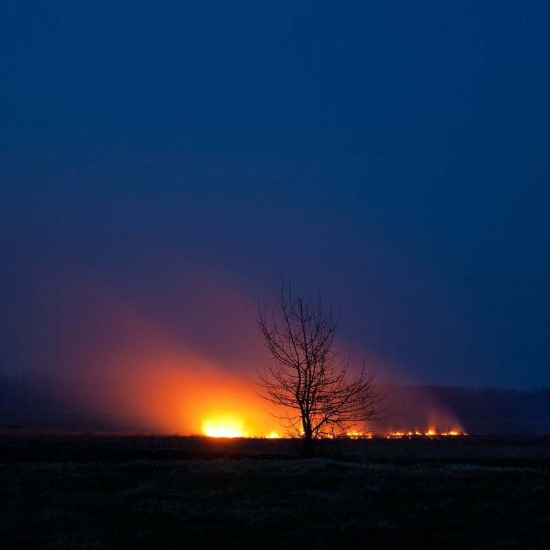 *** фото превью