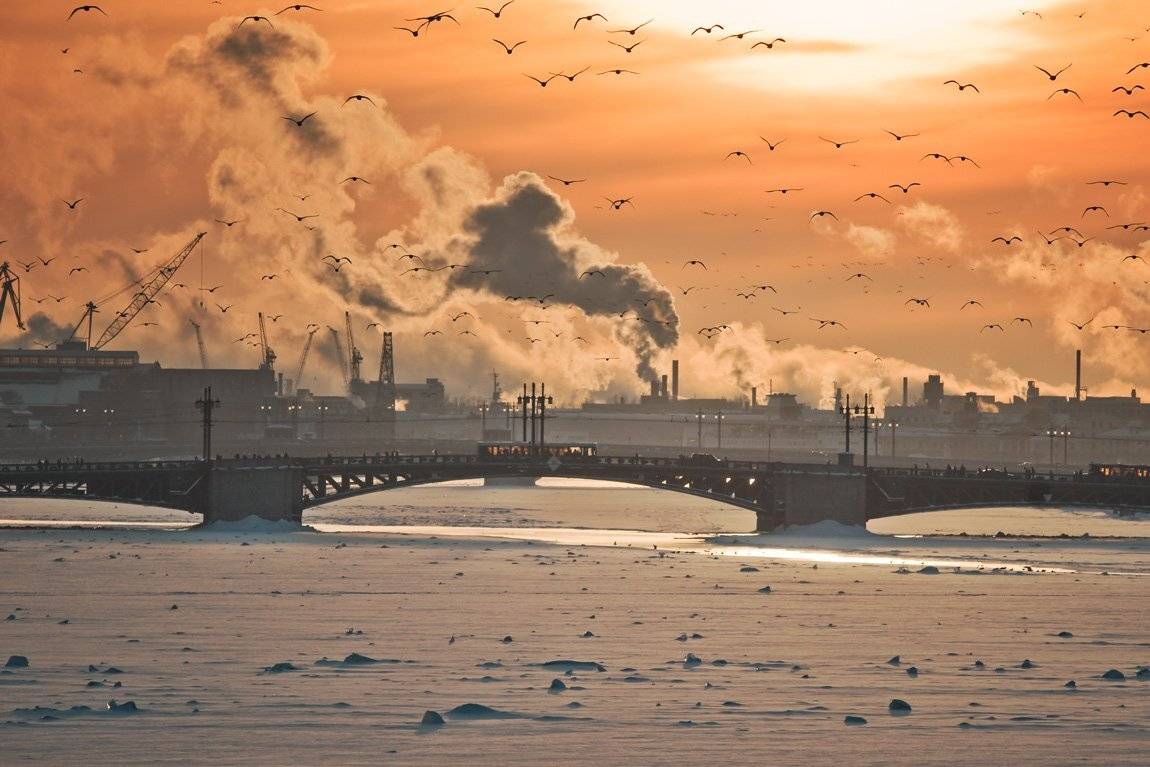 нева,зима,петербург,александр алексеев,881, Александр Алексеев 881