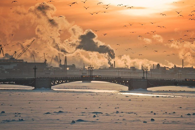 нева,зима,петербург,александр алексеев,881 Закат фото превью